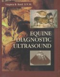 equine_diagnostic_ultrasound