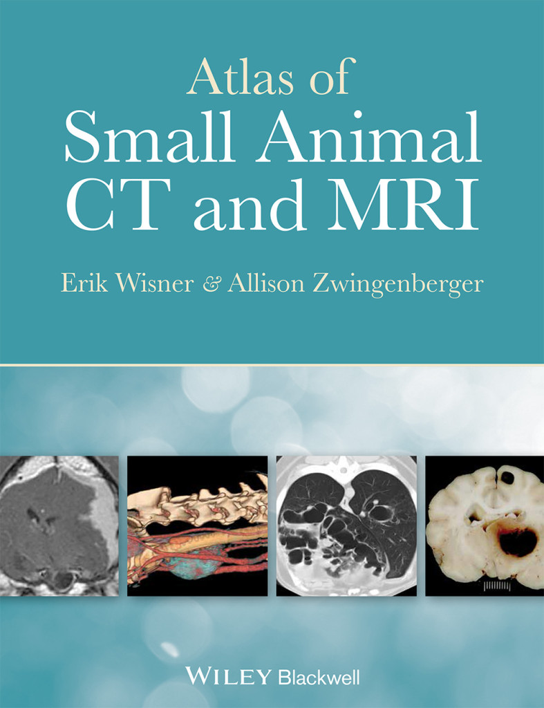 Small Animal MRI Magnetic Resonance Imaging Research